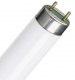 Лампа люминесцентная TL-D 18W/33-640 18Вт T8 4100К G13 PHILIPS 928048003351 928048003351